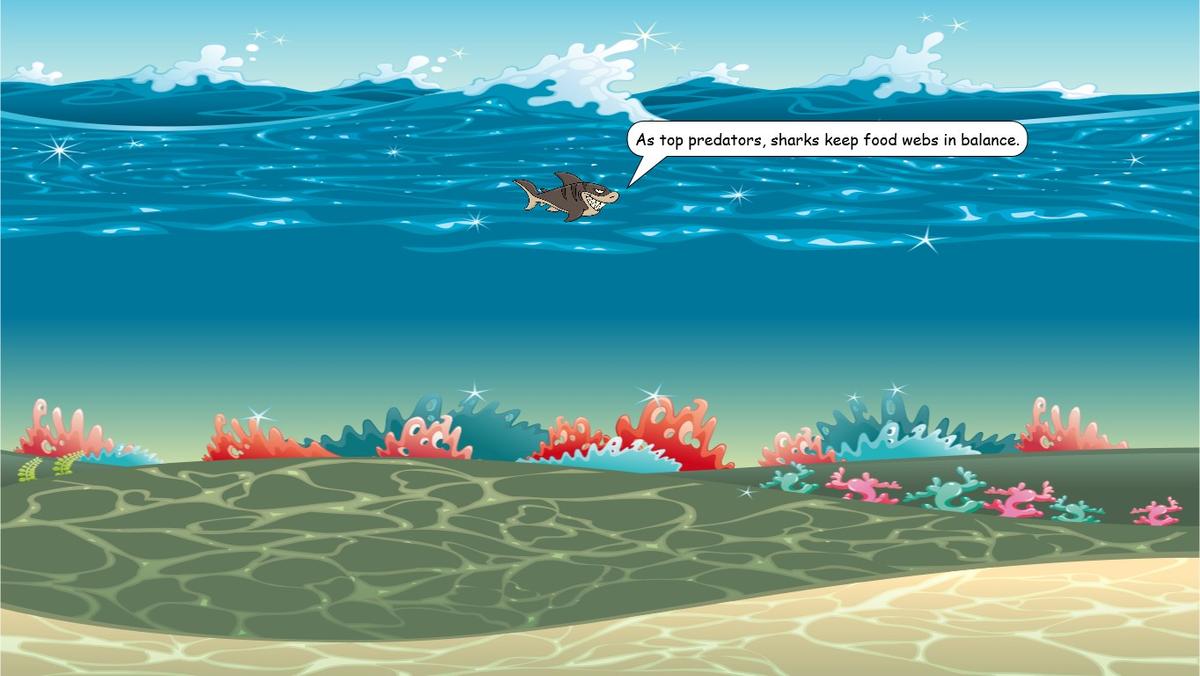 Ocean Ecological Pyramid