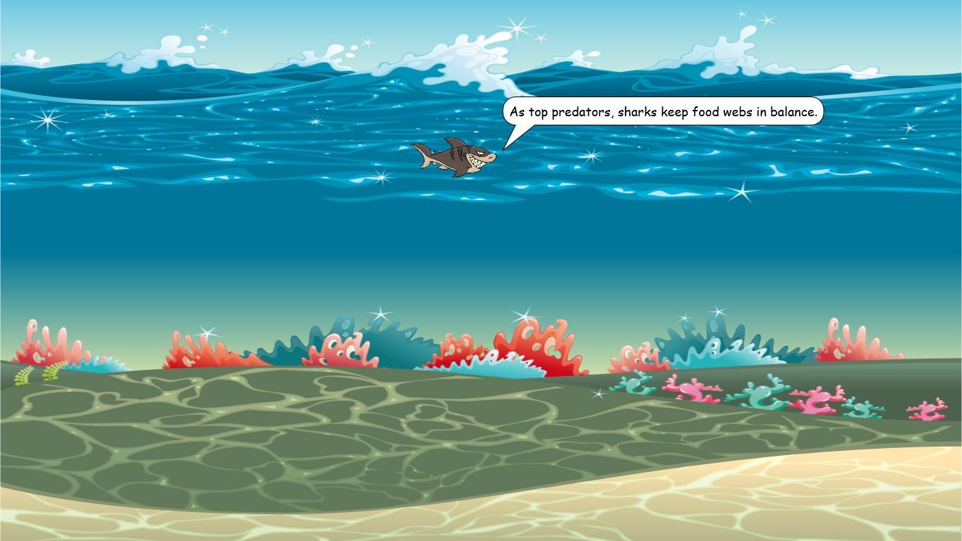 Ocean Ecological Pyramid