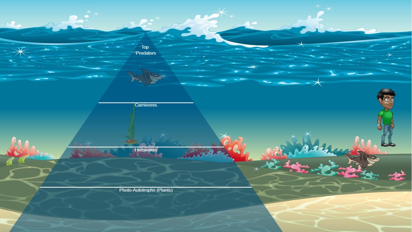 Ocean Ecological Pyramid