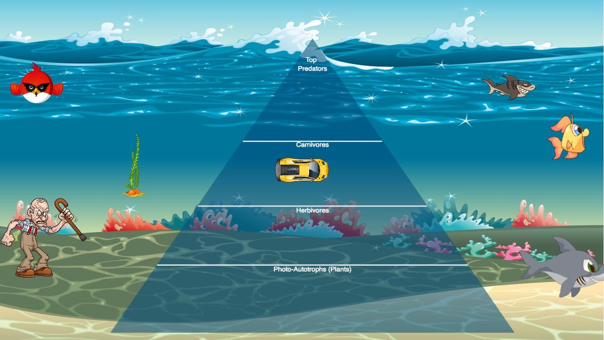 Ocean Ecological Pyramid
