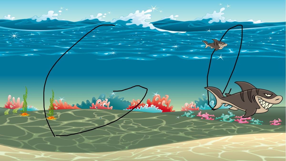 Ocean Ecological Pyramid