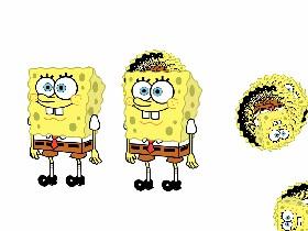 sponge spinner 1