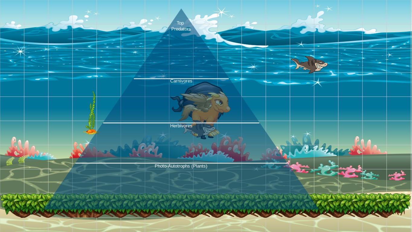 Ocean Ecological Pyramid