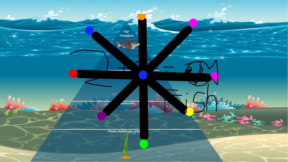 Ocean Ecological Pyramid
