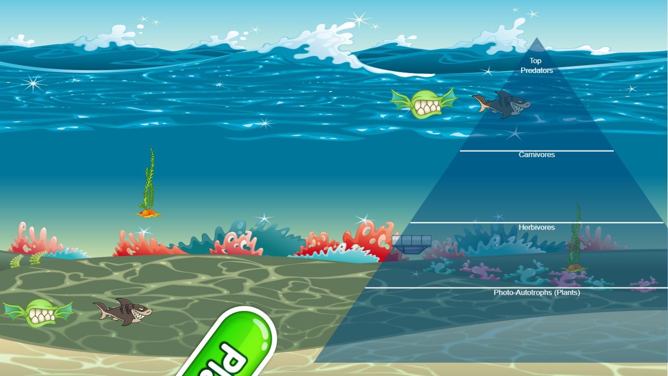 Ocean Ecological Pyramid