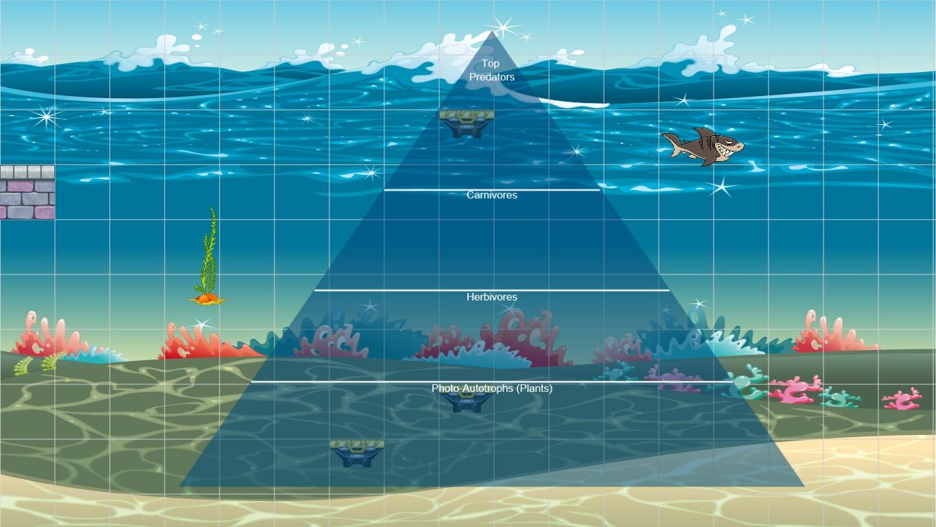 Ocean Ecological Pyramid