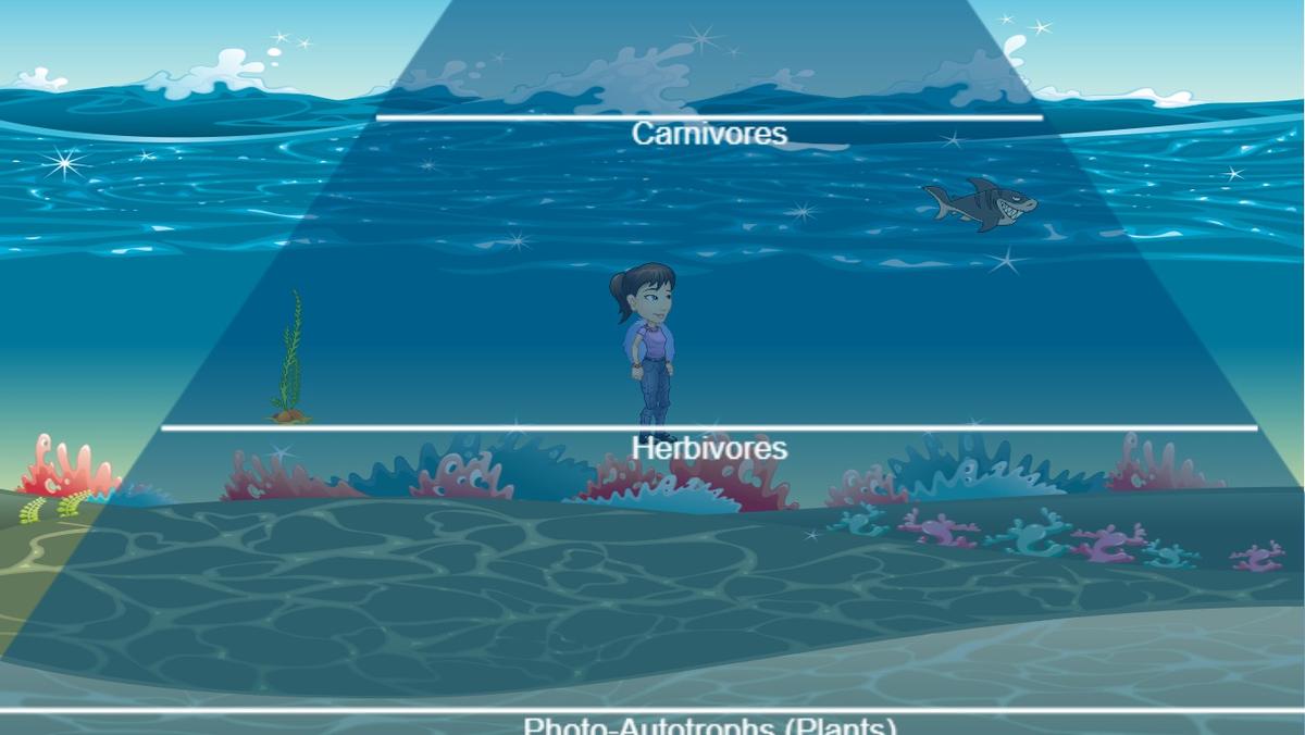 Ocean Ecological Pyramid