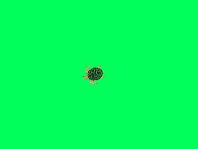 Flashy Flash Flash