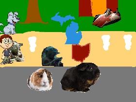 the random game