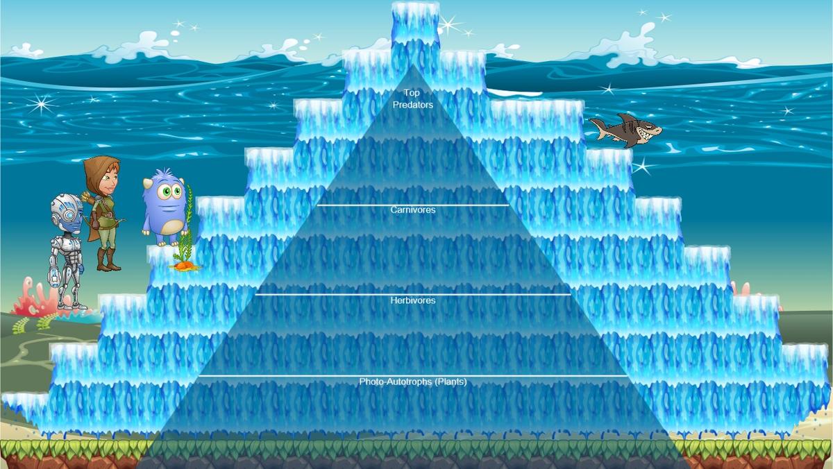 Ocean Ecological Pyramid