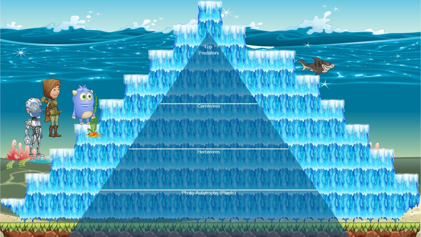 Ocean Ecological Pyramid