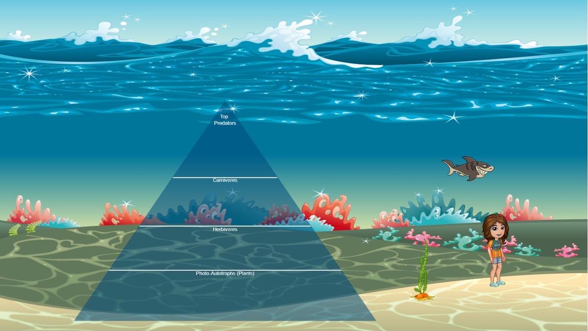 Ocean Ecological Pyramid