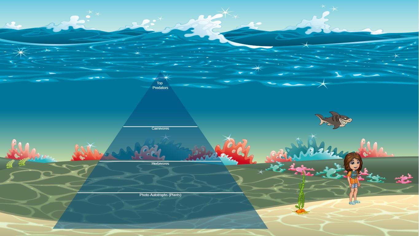 Ocean Ecological Pyramid