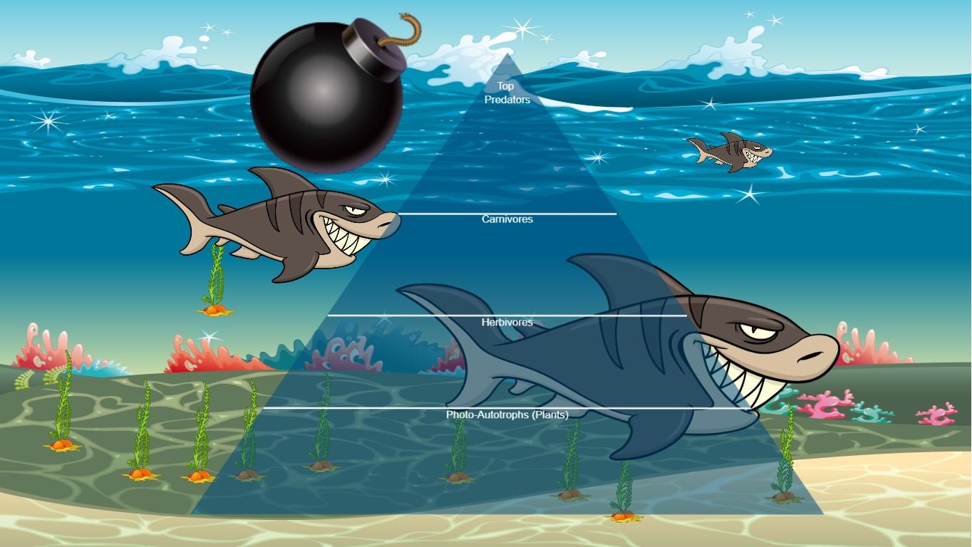 Ocean Ecological Pyramid