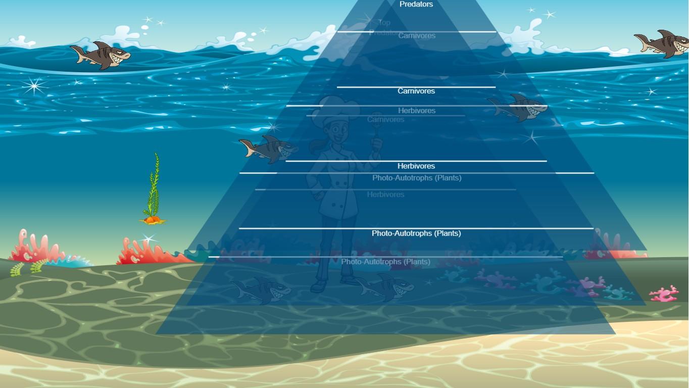 Ocean Ecological Pyramid