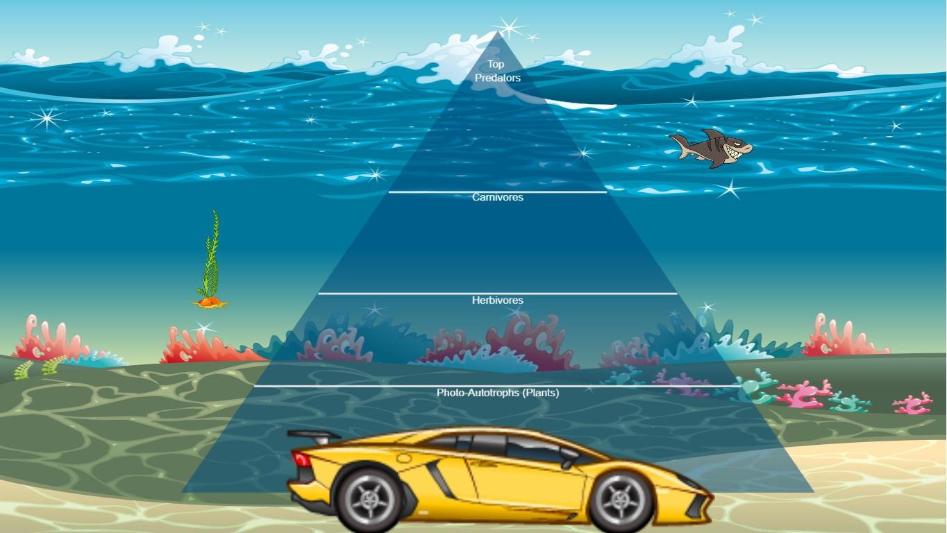 Ocean Ecological Pyramid