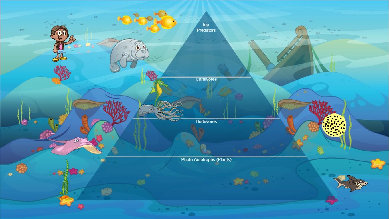 Ocean Ecological Pyramid
