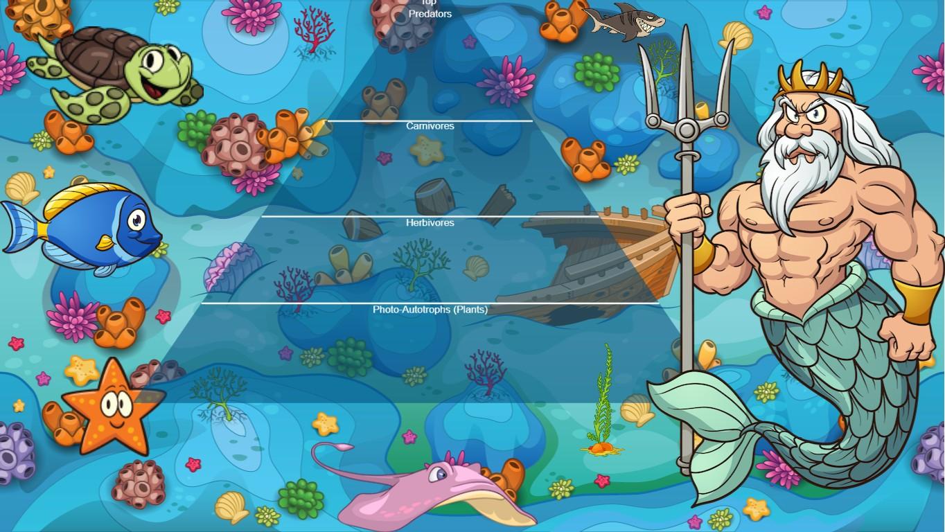 Ocean Ecological Pyramid