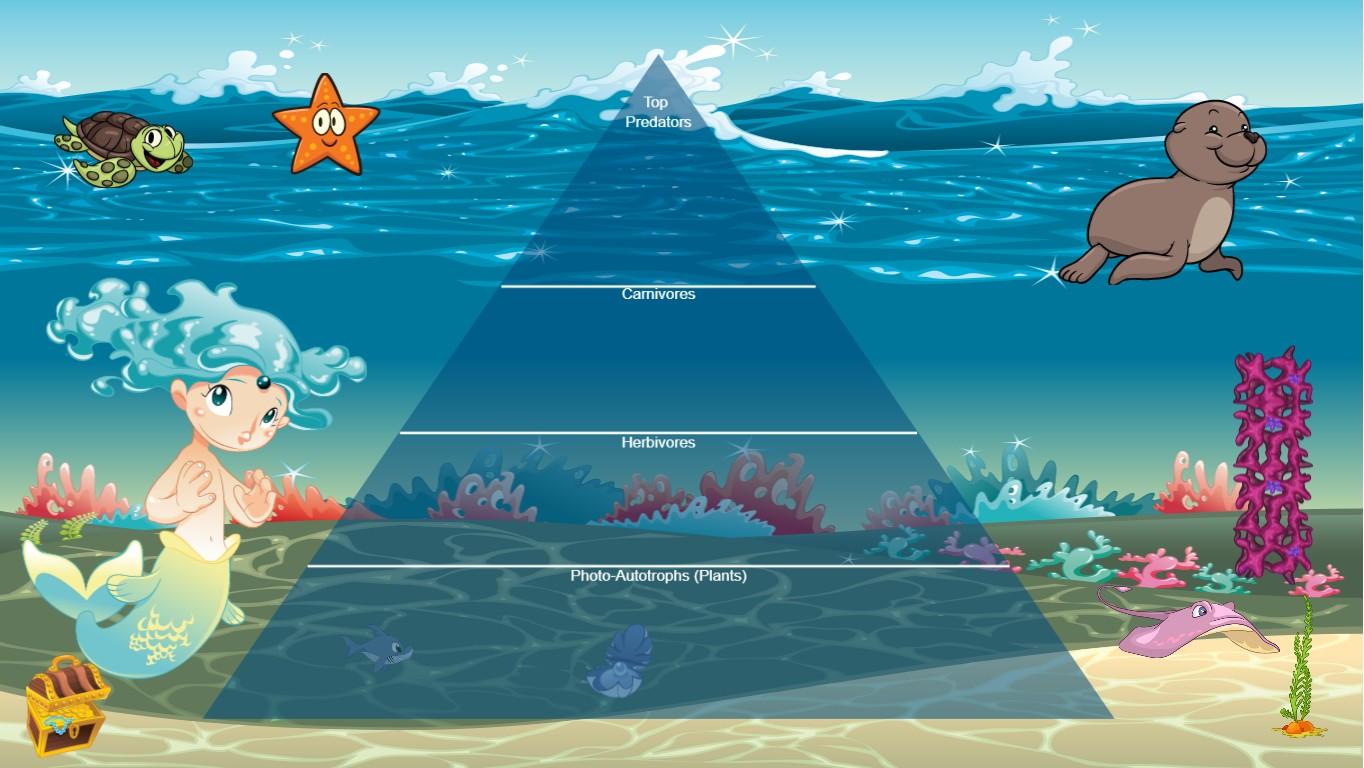 Ocean Ecological Pyramid