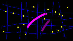 Sliver.io