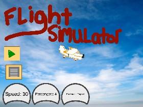 Flight Simulator 1 1