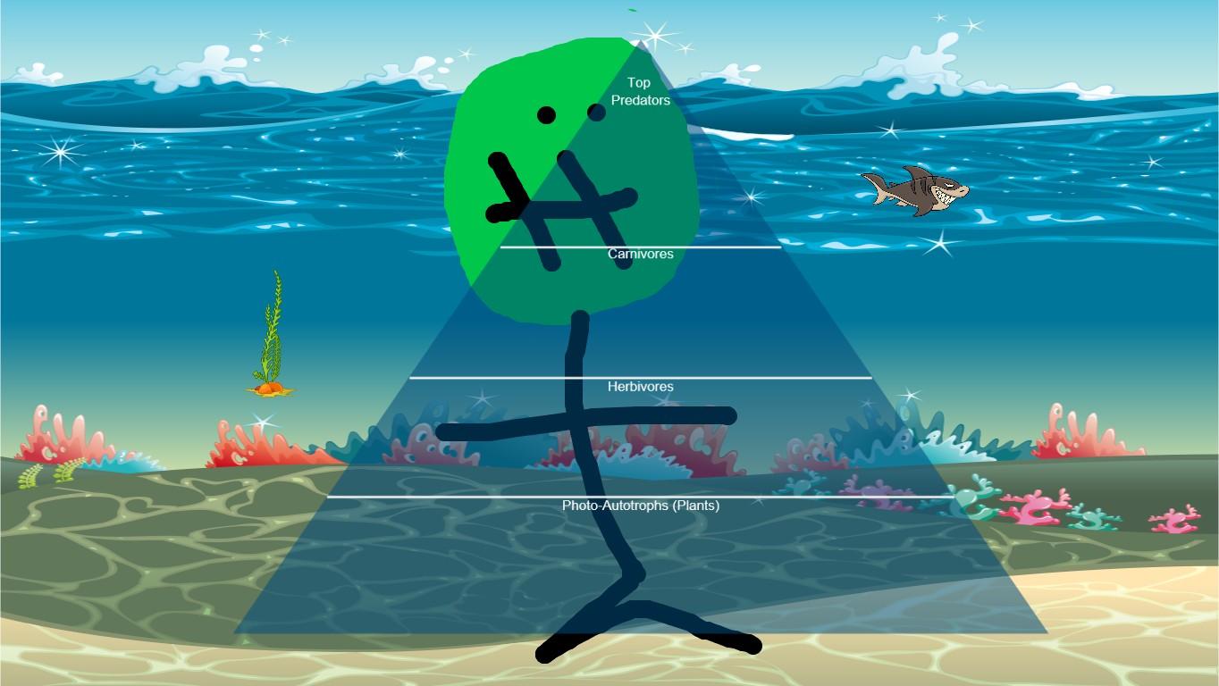 Ocean Ecological Pyramid