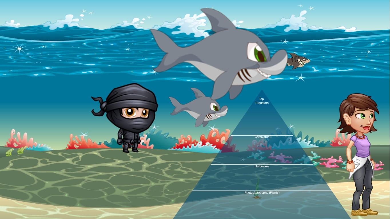 Ocean Ecological Pyramid