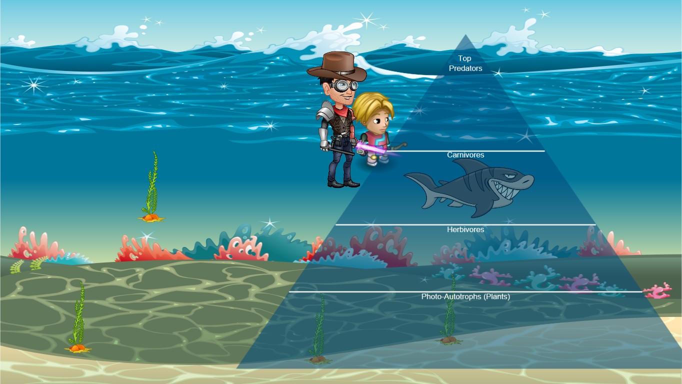 Ocean Ecological Pyramid