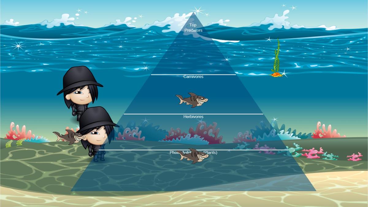 Ocean Ecological Pyramid