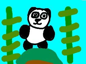 panda