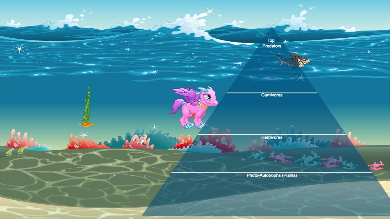 Ocean Ecological Pyramid