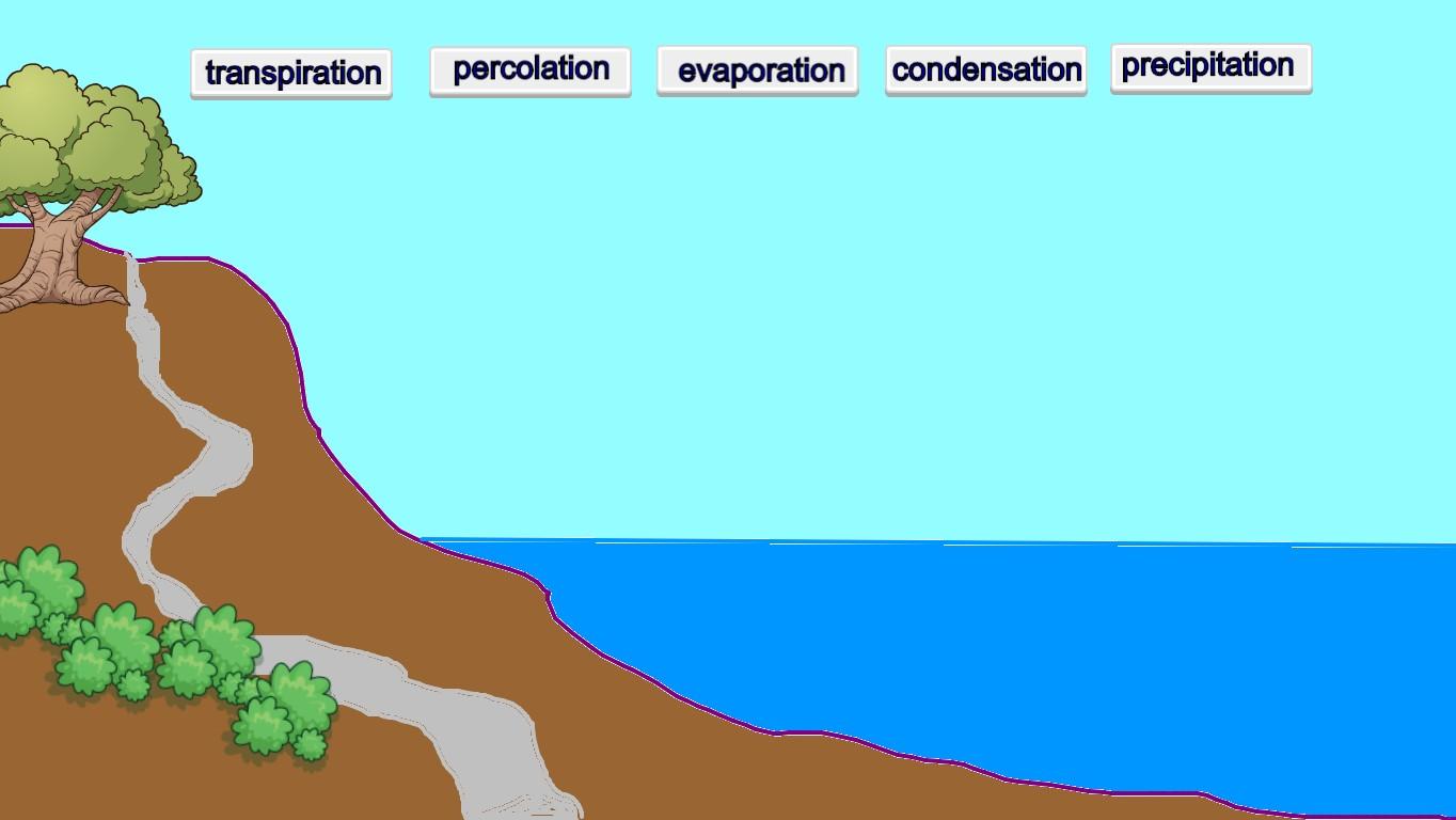 Water Cycle - Janeen