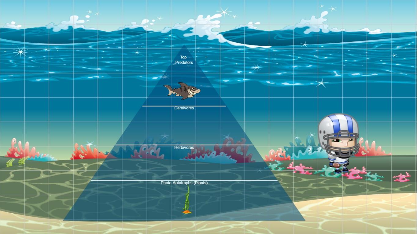 Ocean Ecological Pyramid