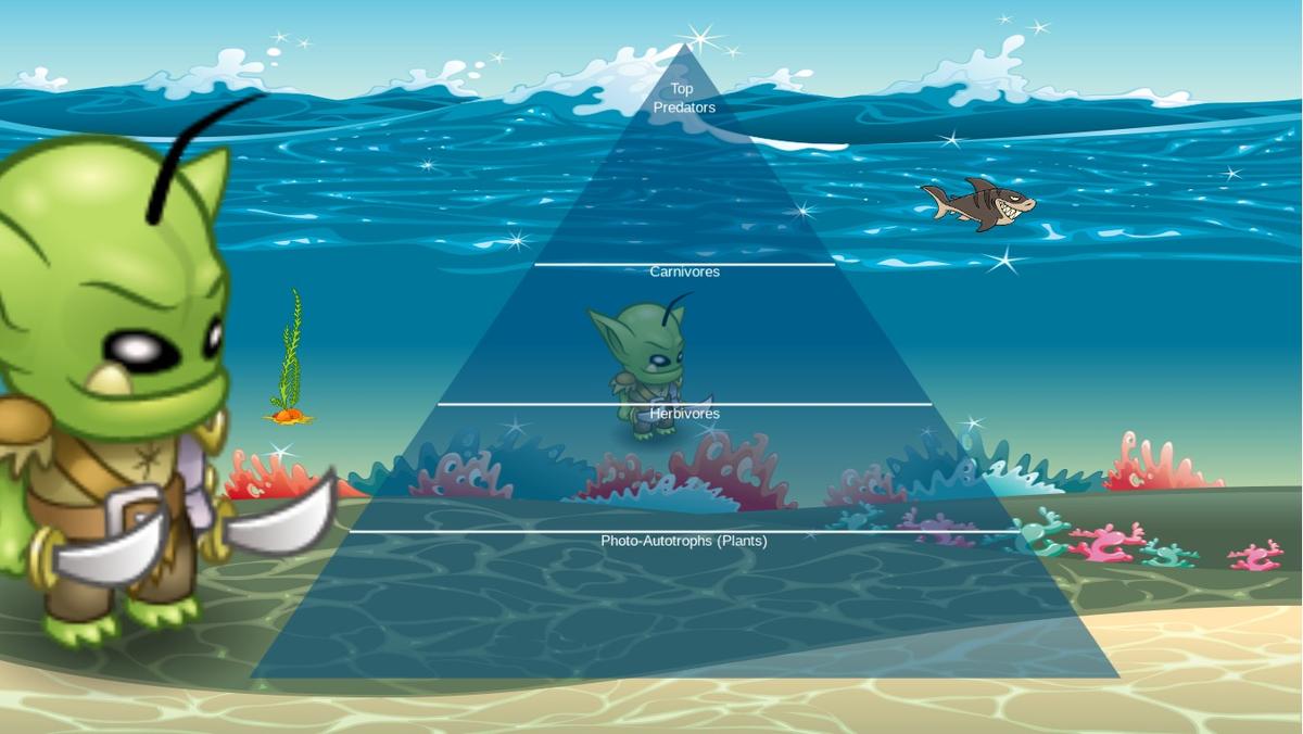 Ocean Ecological Pyramid