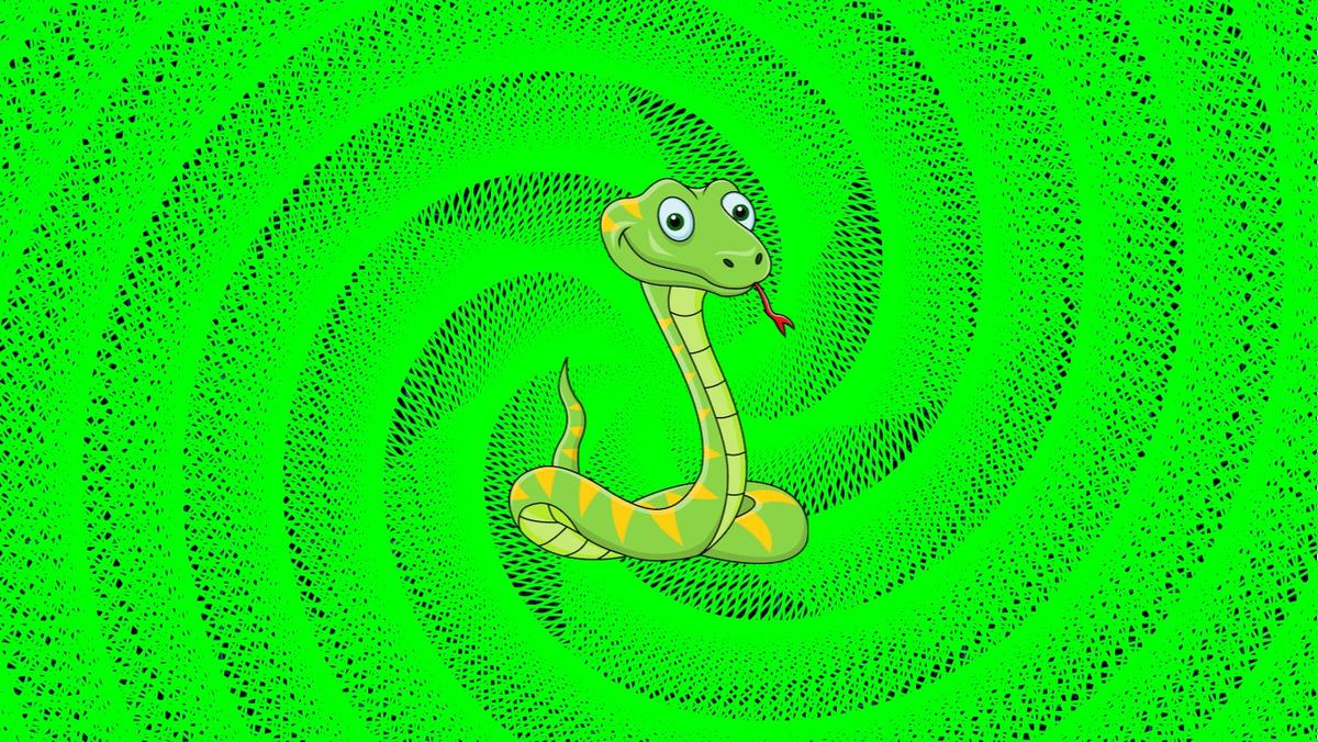 spiral snek