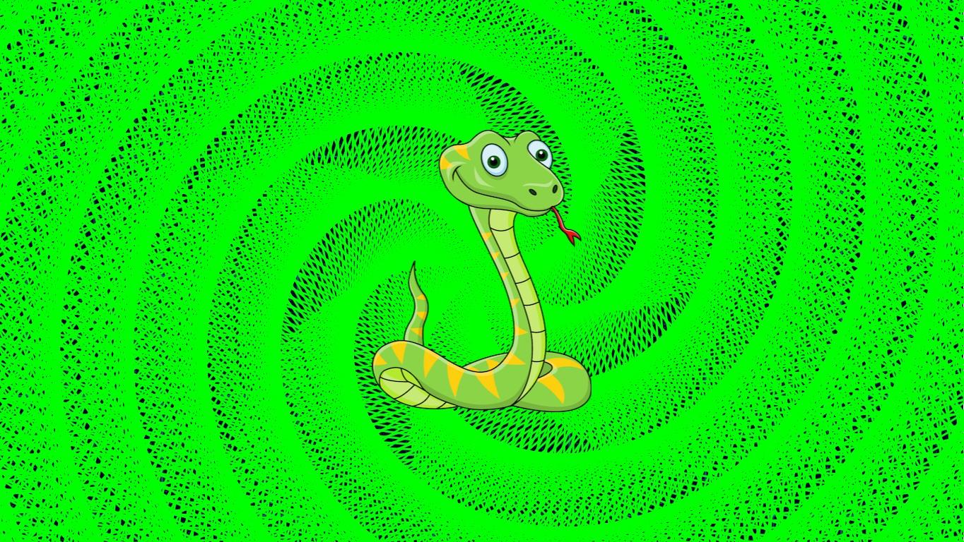spiral snek