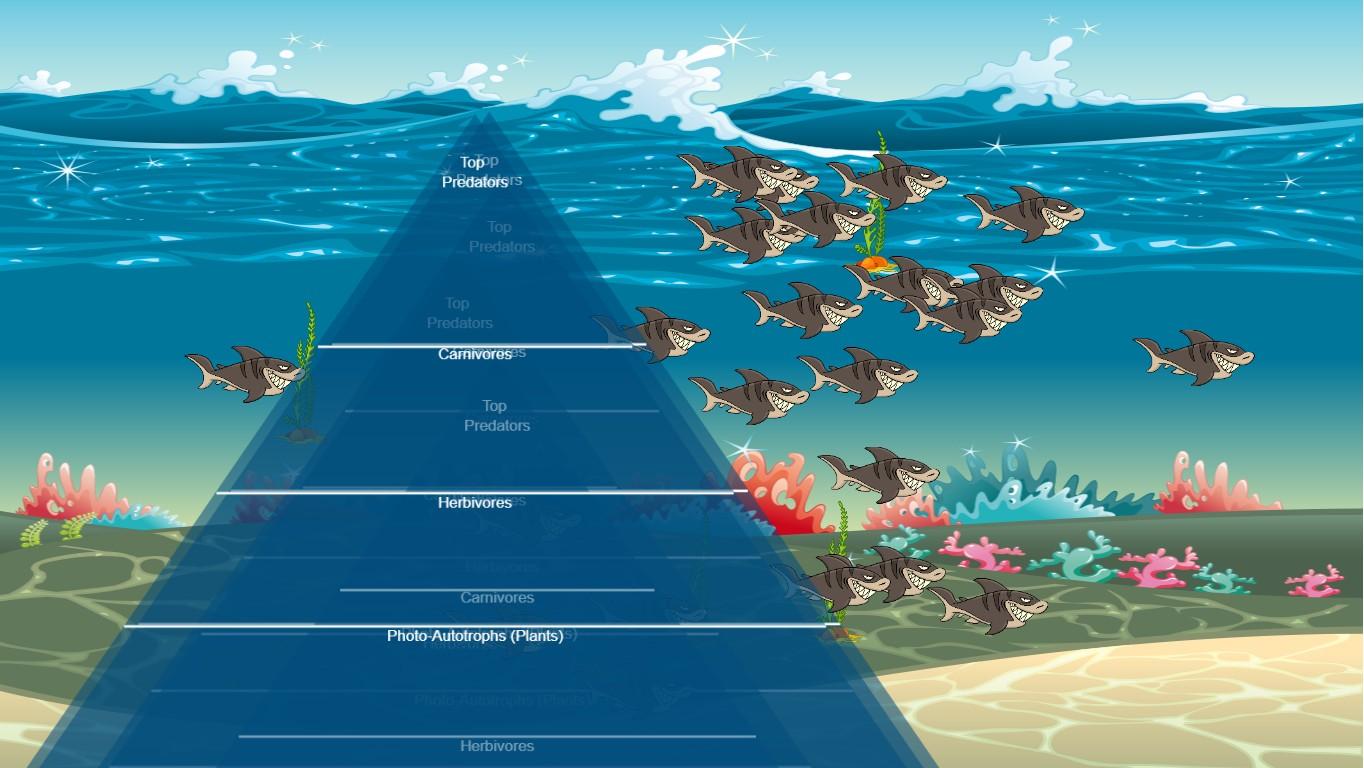 Ocean Ecological Pyramid