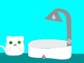 Cat Bath 1