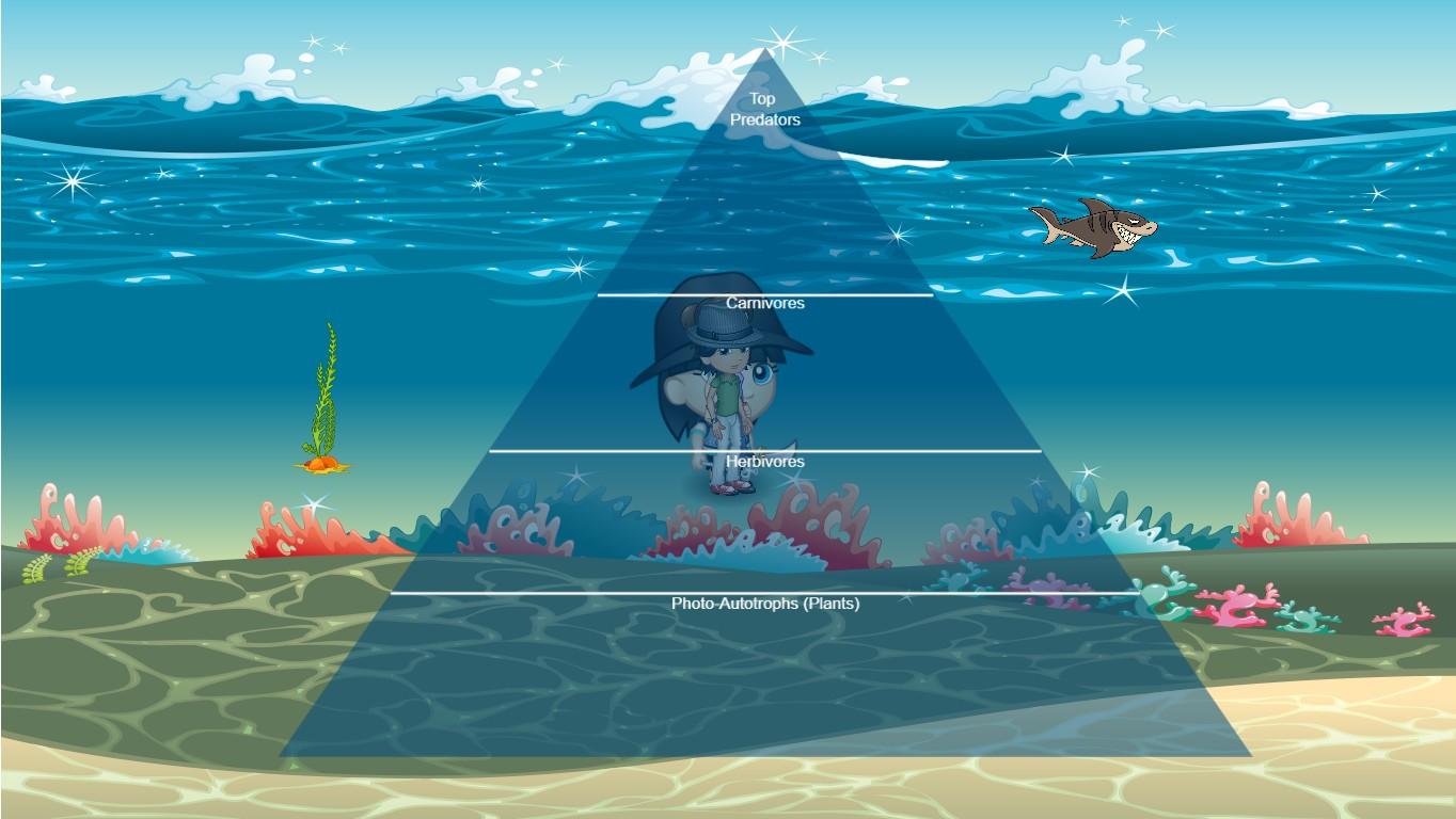 Ocean Ecological Pyramid