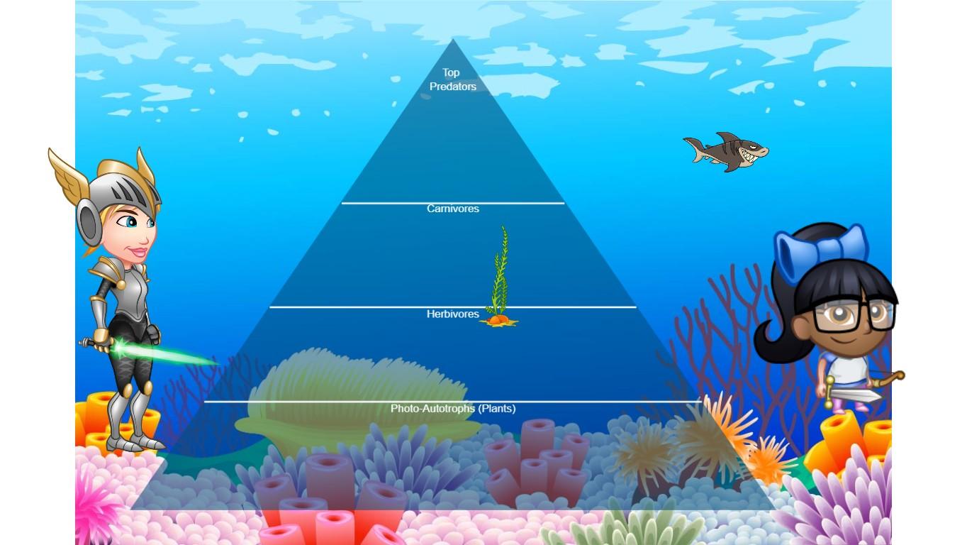 Ocean Ecological Pyramid