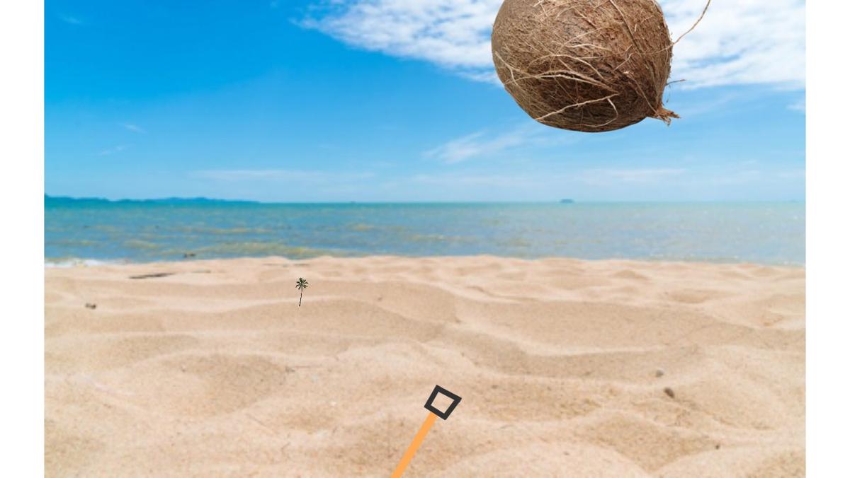 Coconuts