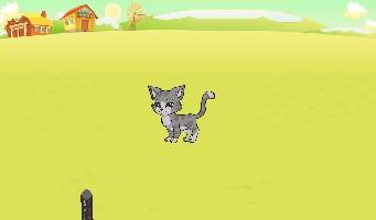 playing with a cat