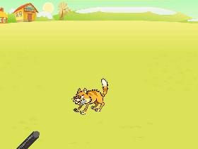Lazer pointer