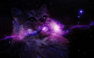 cat spaceship game