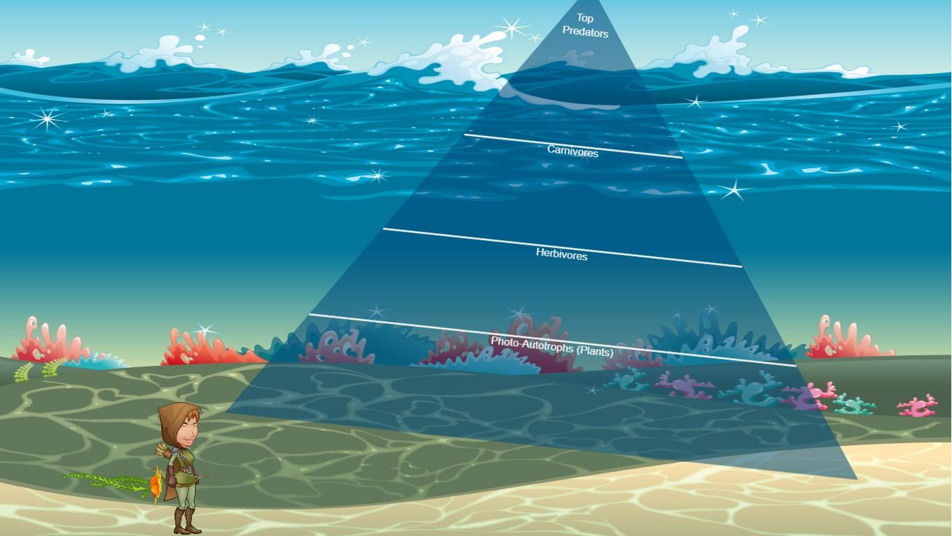 Ocean Ecological Pyramid