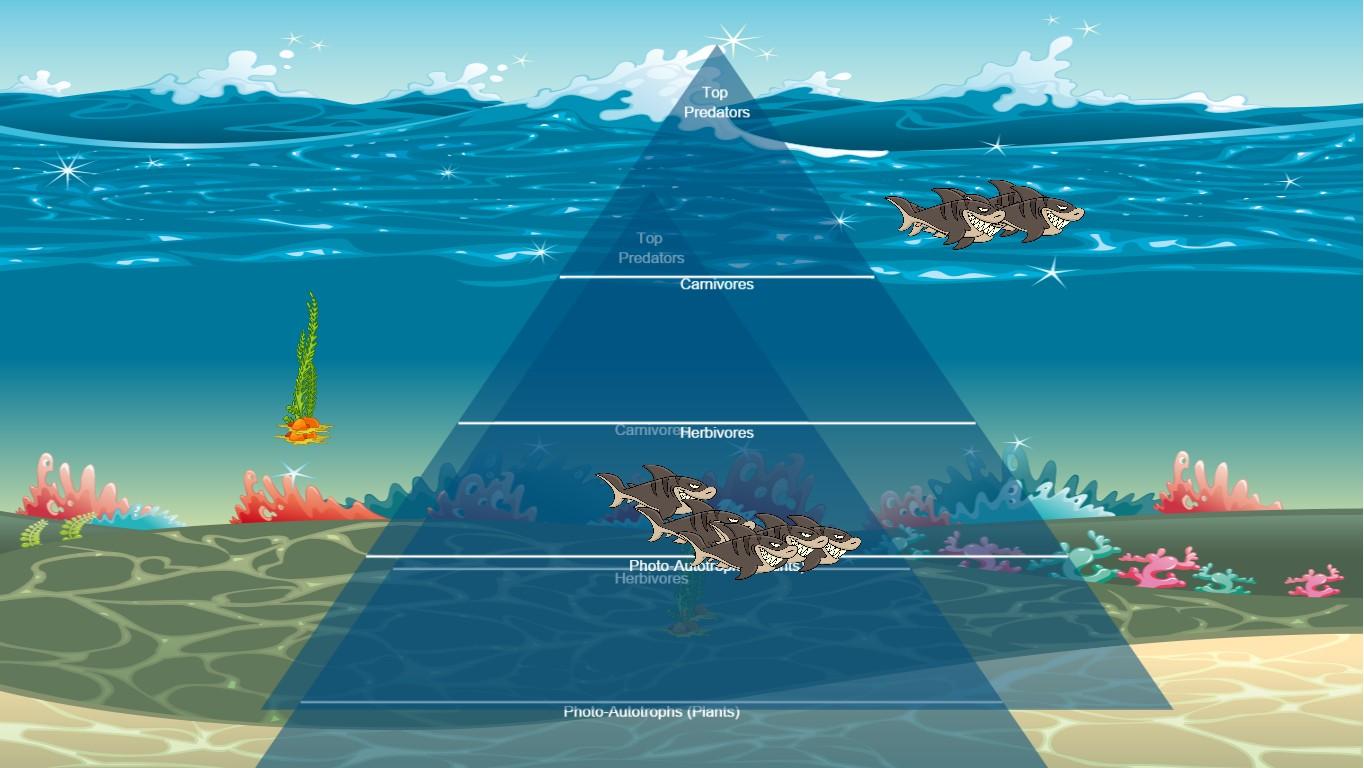 Ocean Ecological Pyramid