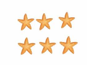 Whack-a-starfish EASY