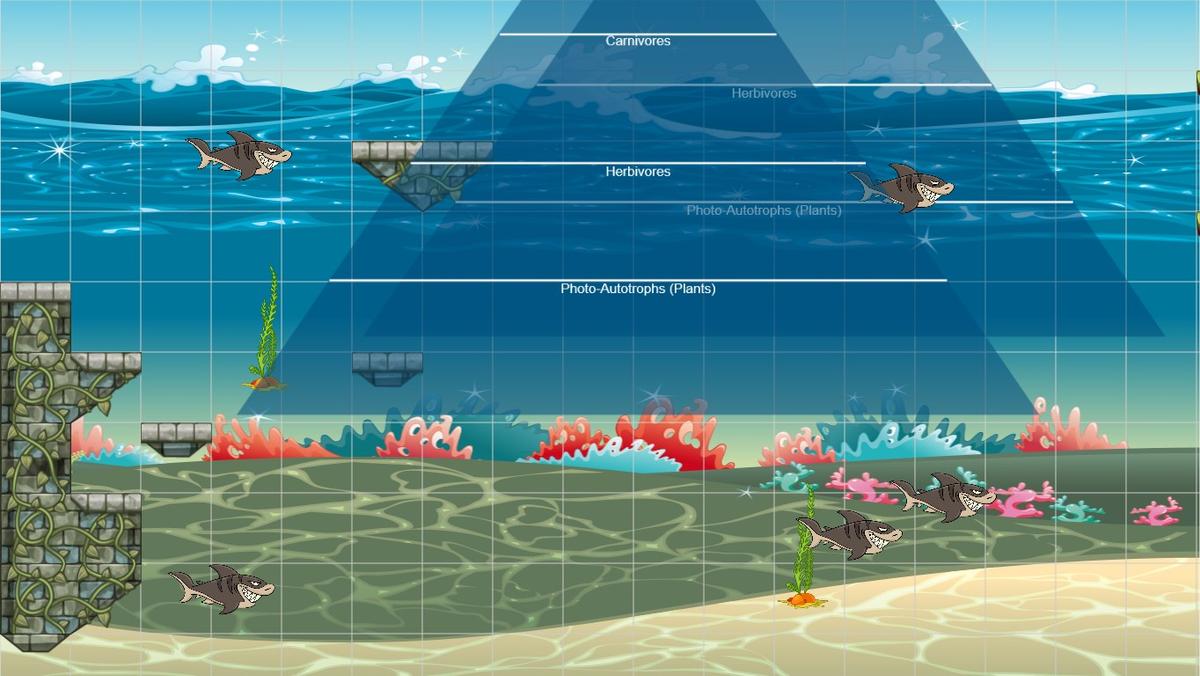 Ocean Ecological Pyramid