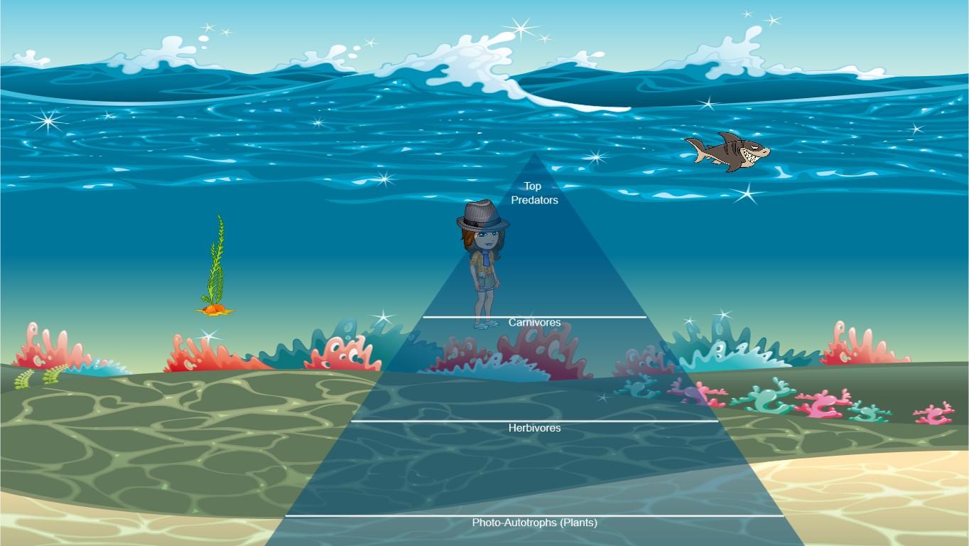 Ocean Ecological Pyramid