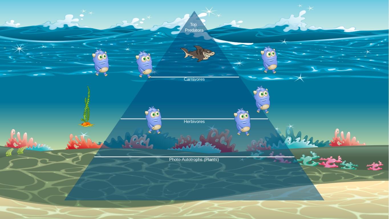 Ocean Ecological Pyramid